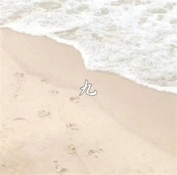 九 - script cover