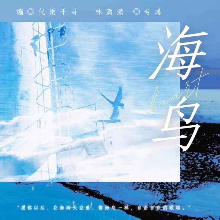 海鸟 - show cover