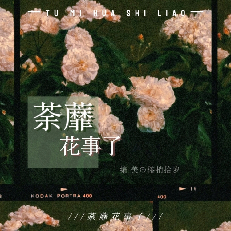荼蘼花事了｜作品封面
