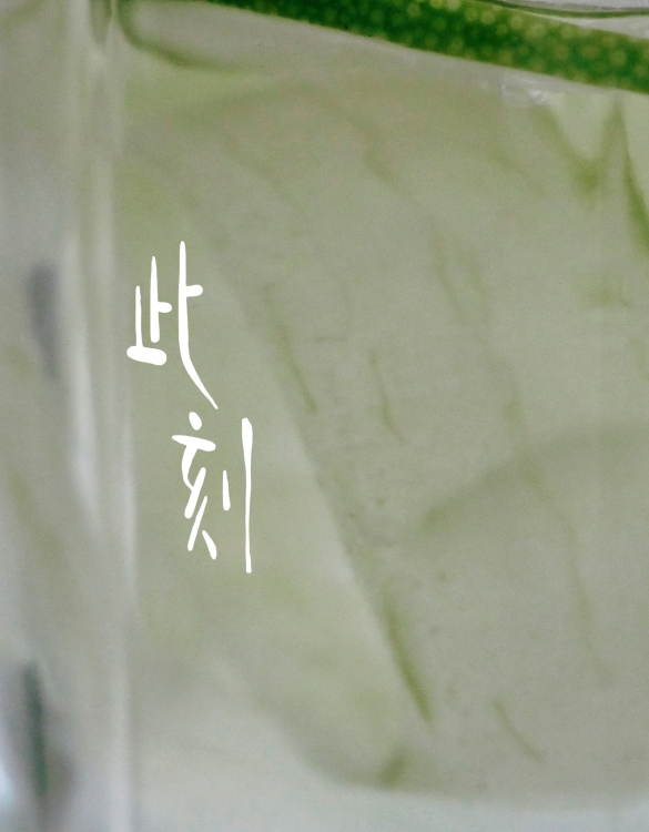 此刻 - show cover
