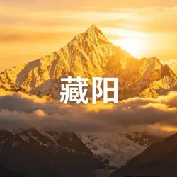 藏阳 - script cover