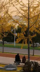 桃花树下一壶酒尚温｜作品封面