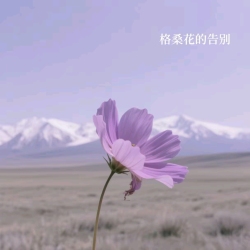 格桑花的告别 - script cover