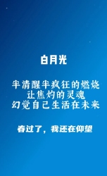 白月光 - script cover
