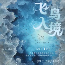 飞鸟入境 - show cover