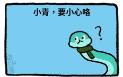 关于跨年我简单喵两句 - show cover
