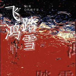 飞鸿踏雪 - show cover