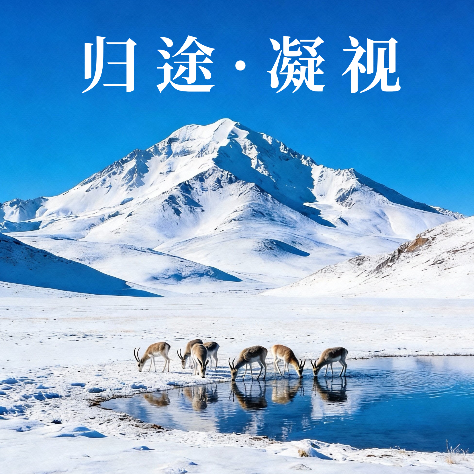 归途·凝视 - script image 5