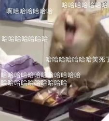 儿时干过最蠢的事 (旁白练习)｜剧本封面