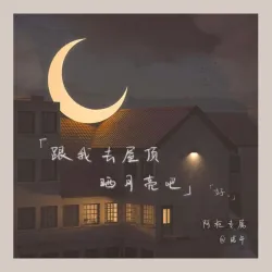 跟我去屋顶晒月亮吧 - show cover