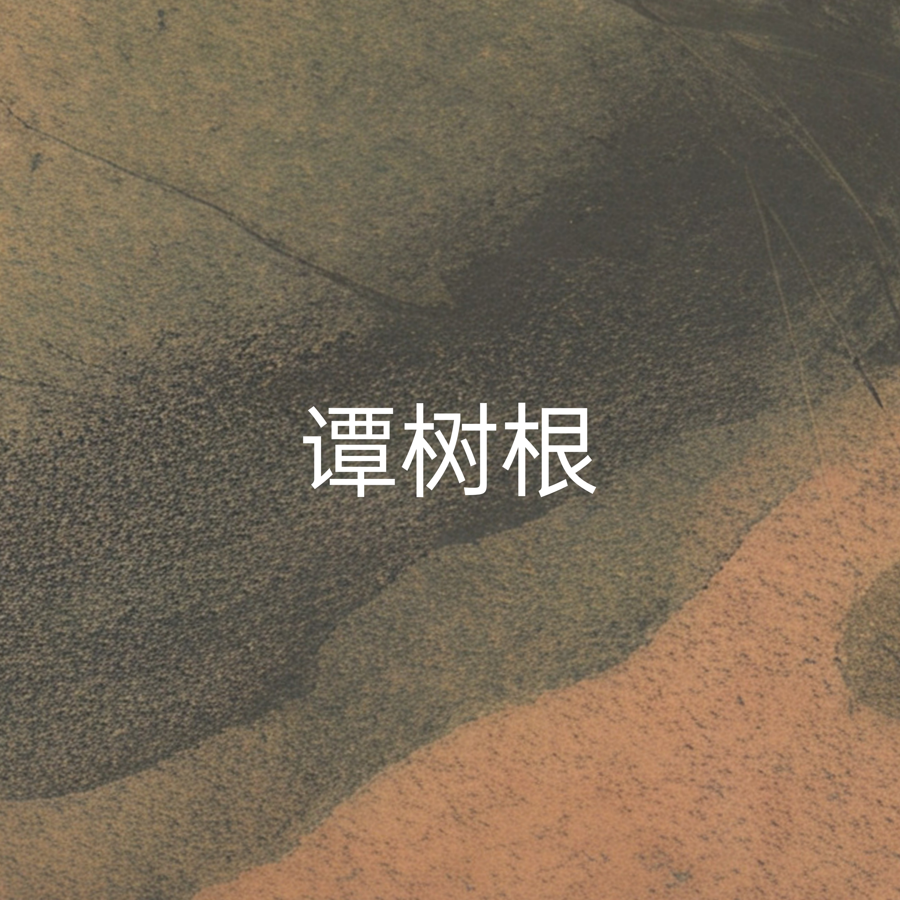 言 - 谭树根 character avatar