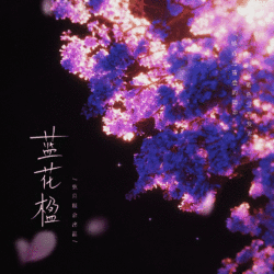 蓝花楹｜剧本封面